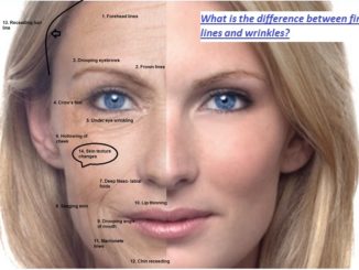 What is the Difference Between Fine Lines and Wrinkles?