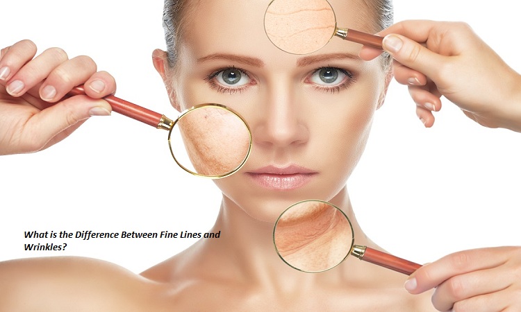 What is the Difference Between Fine Lines and Wrinkles?